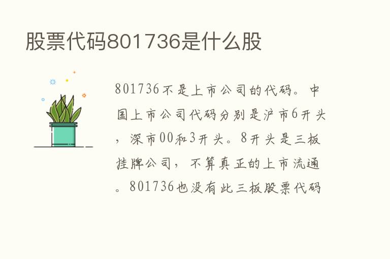 股票代码801736是什么股