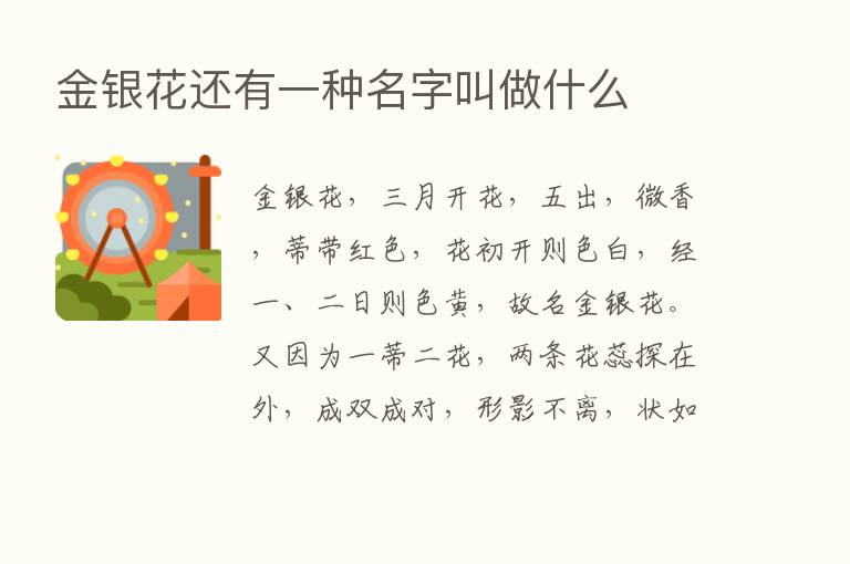 金银花还有一种名字叫做什么