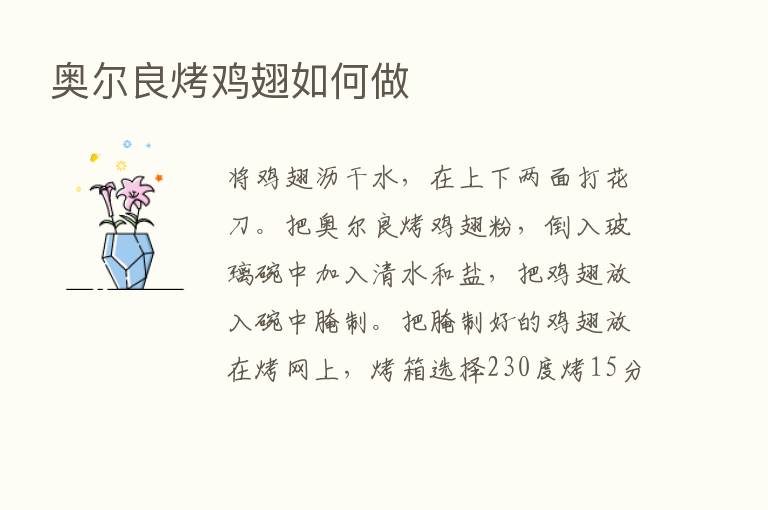 奥尔良烤鸡翅如何做