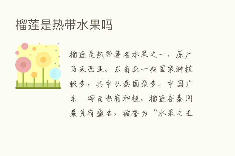 榴莲是热带水果吗