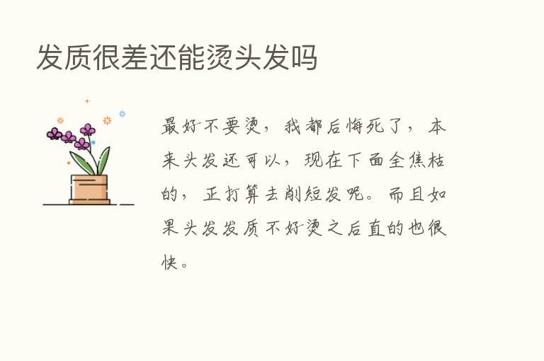 发质很差还能烫头发吗