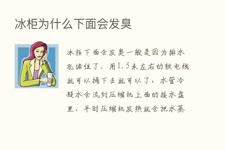 冰柜为什么下面会发臭