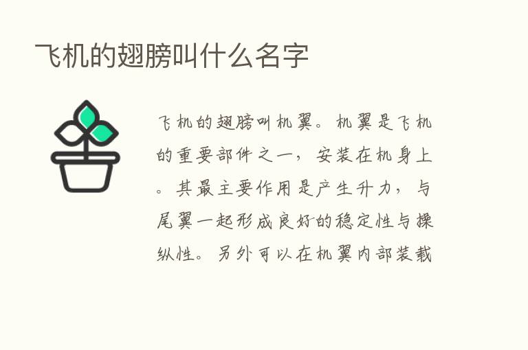 飞机的翅膀叫什么名字