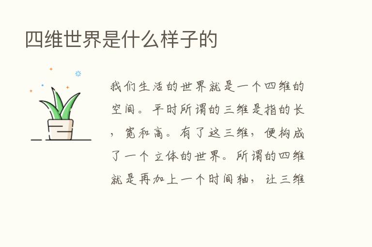 四维世界是什么样子的