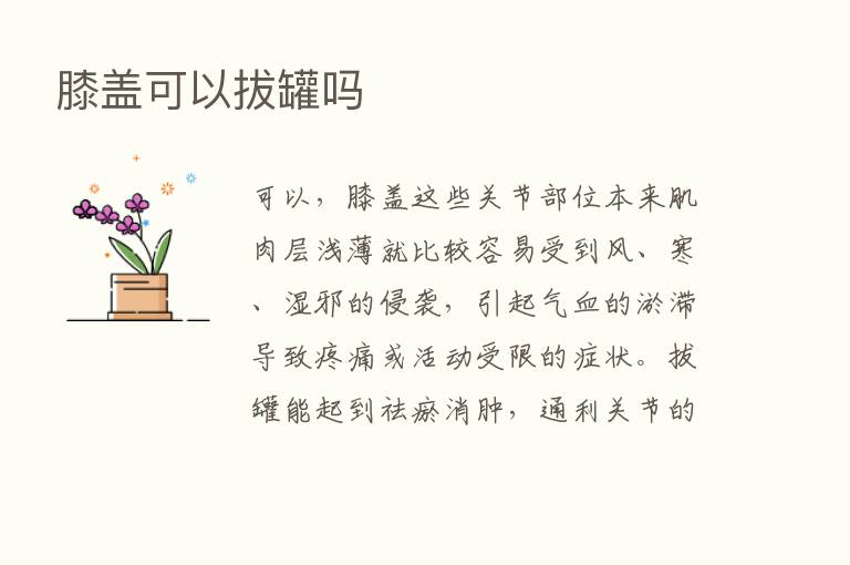 膝盖可以拔罐吗