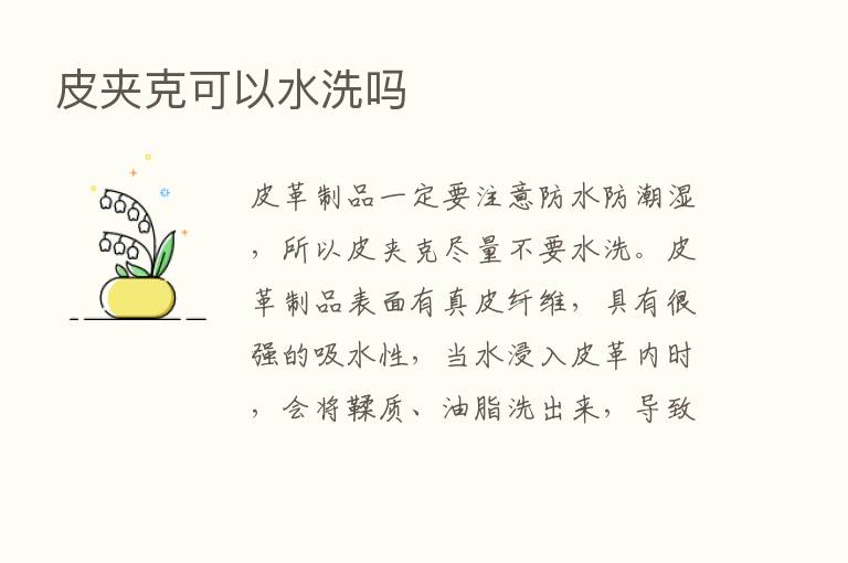 皮夹克可以水洗吗