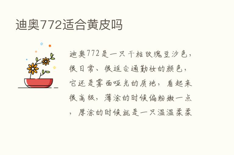 迪奥772适合黄皮吗