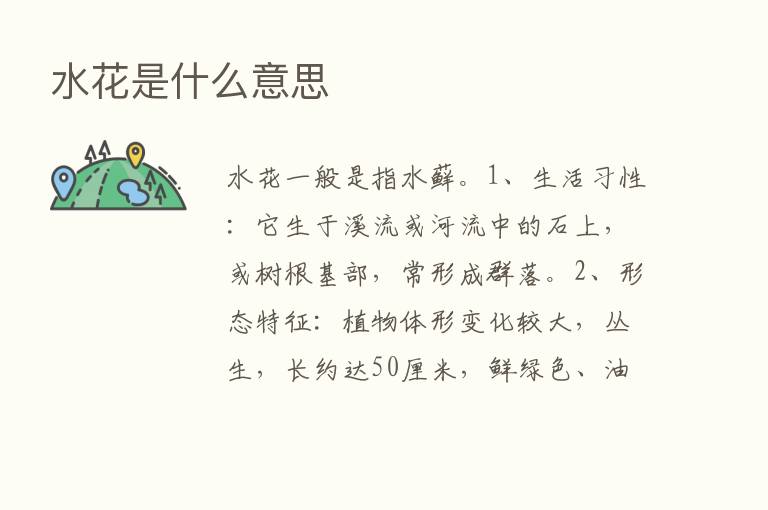 水花是什么意思