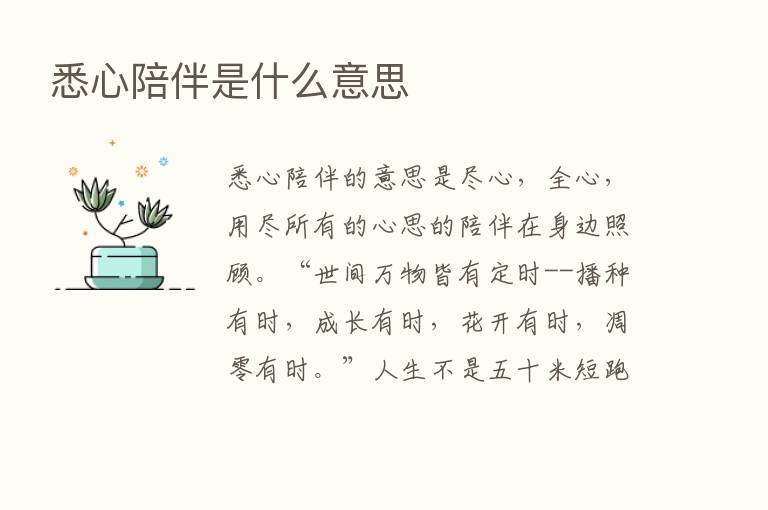 悉心陪伴是什么意思