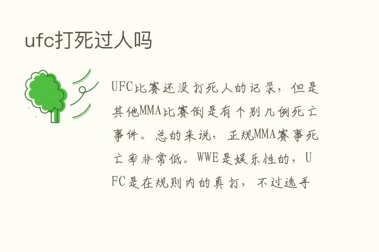 ufc打死过人吗