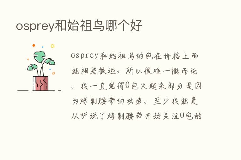 osprey和始祖鸟哪个好