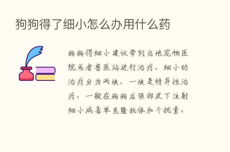 狗狗得了细小怎么办用什么药