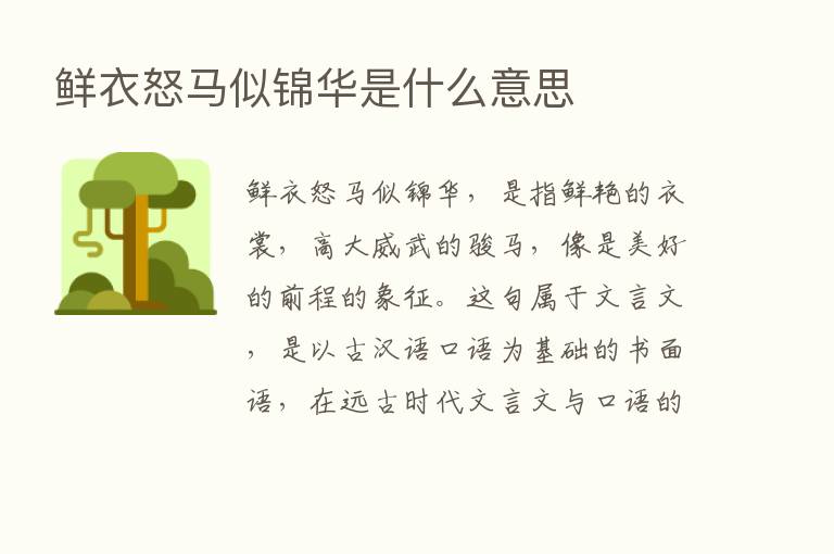 鲜衣怒马似锦华是什么意思