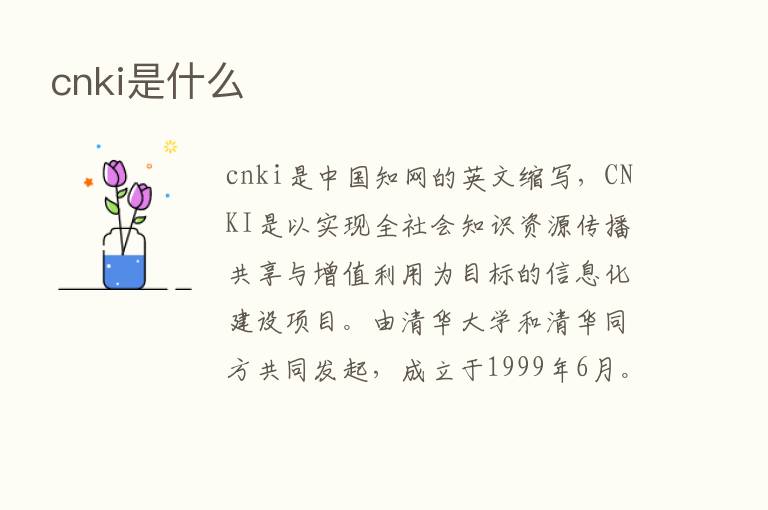 cnki是什么