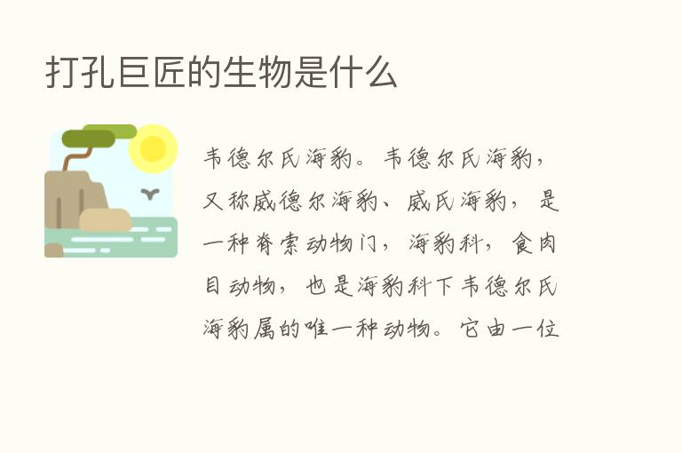 打孔巨匠的生物是什么