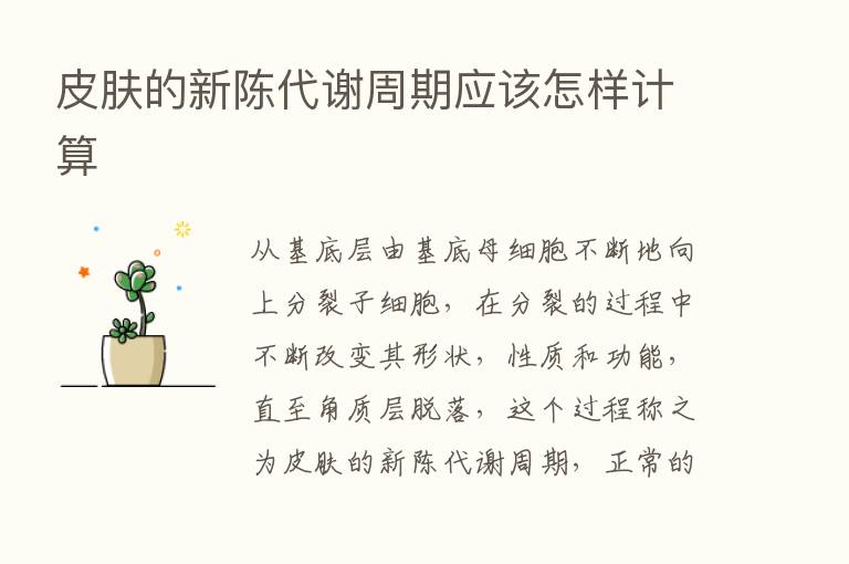 皮肤的新陈代谢周期应该怎样计算