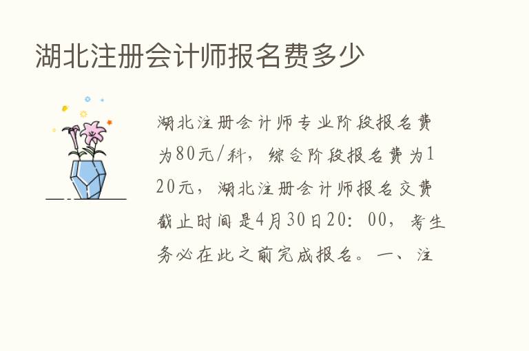 湖北注册会计师报名费多少