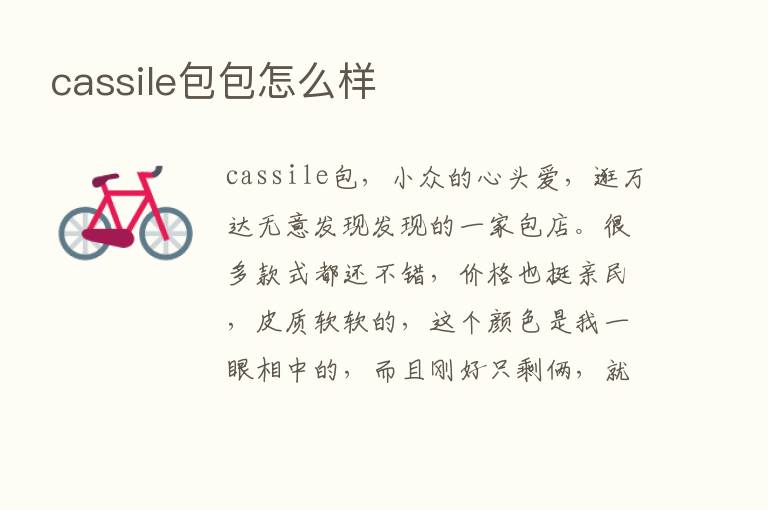 cassile包包怎么样