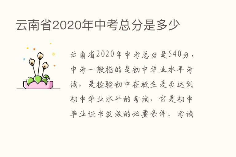 云南省2020年中考总分是多少