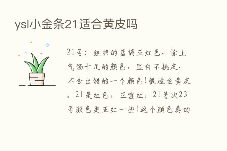 ysl小金条21适合黄皮吗