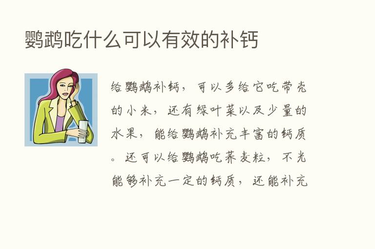 鹦鹉吃什么可以有效的补钙