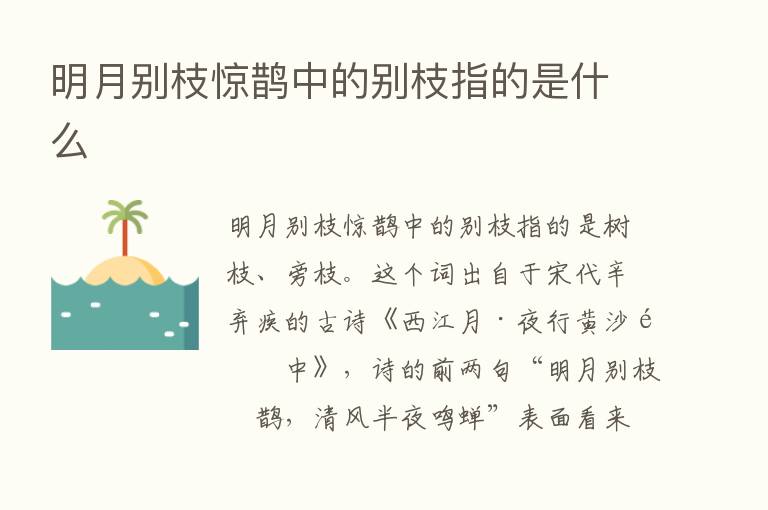 明月别枝惊鹊中的别枝指的是什么