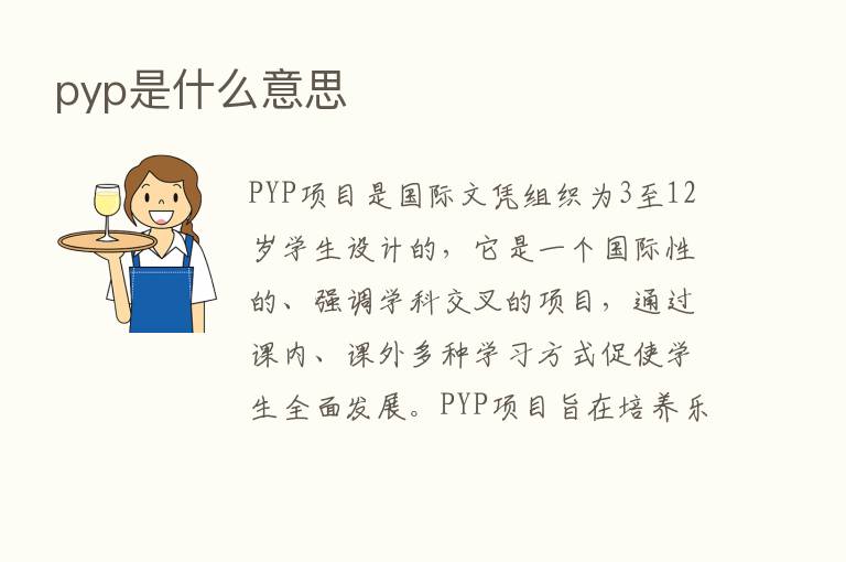 pyp是什么意思