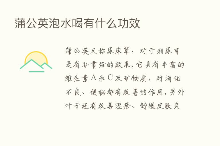 蒲公英泡水喝有什么功效