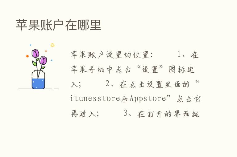 苹果账户在哪里