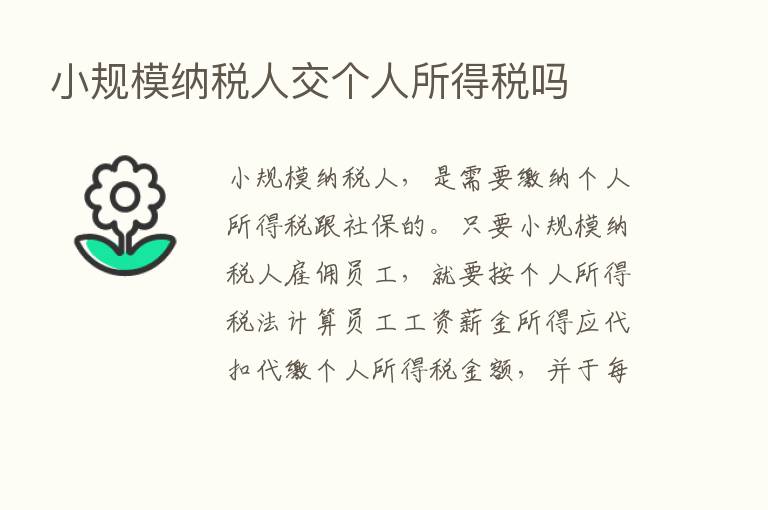 小规模纳税人交个人所得税吗