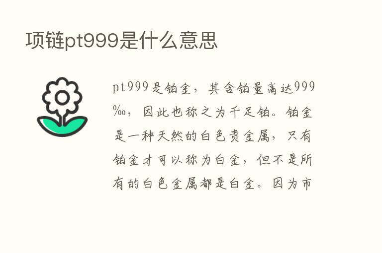 项链pt999是什么意思