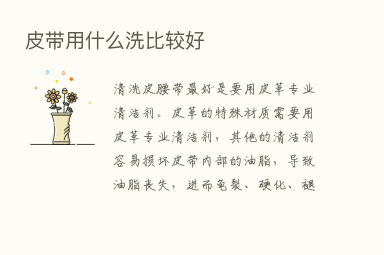 皮带用什么洗比较好