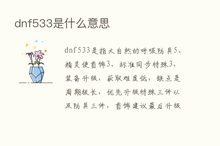 dnf533是什么意思