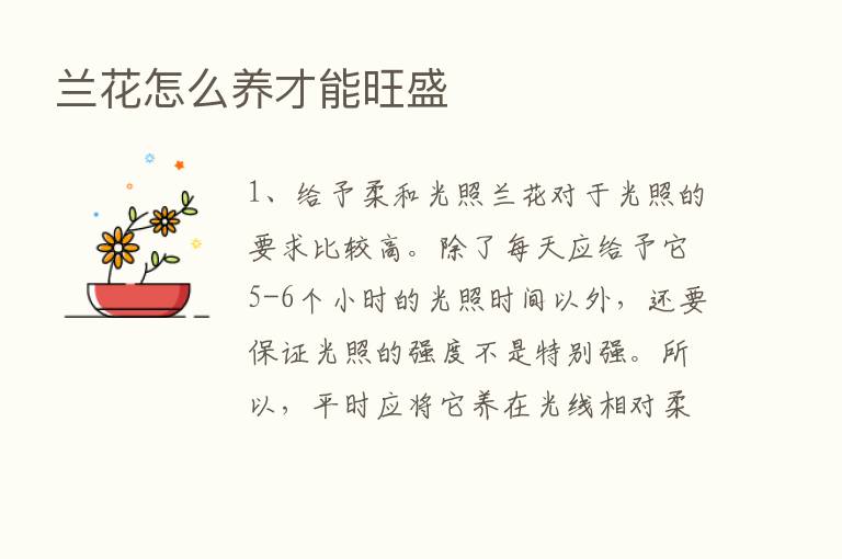 兰花怎么养才能旺盛