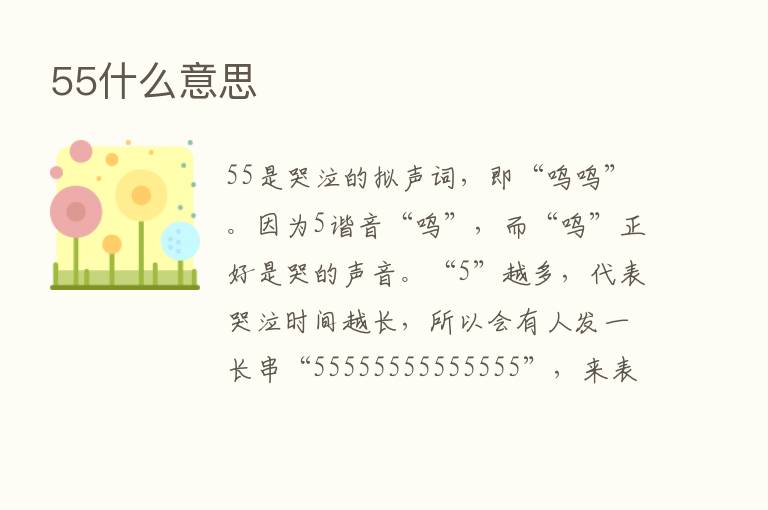 55什么意思