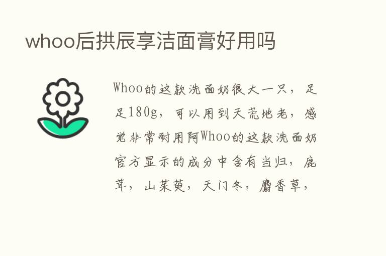 whoo后拱辰享洁面膏好用吗