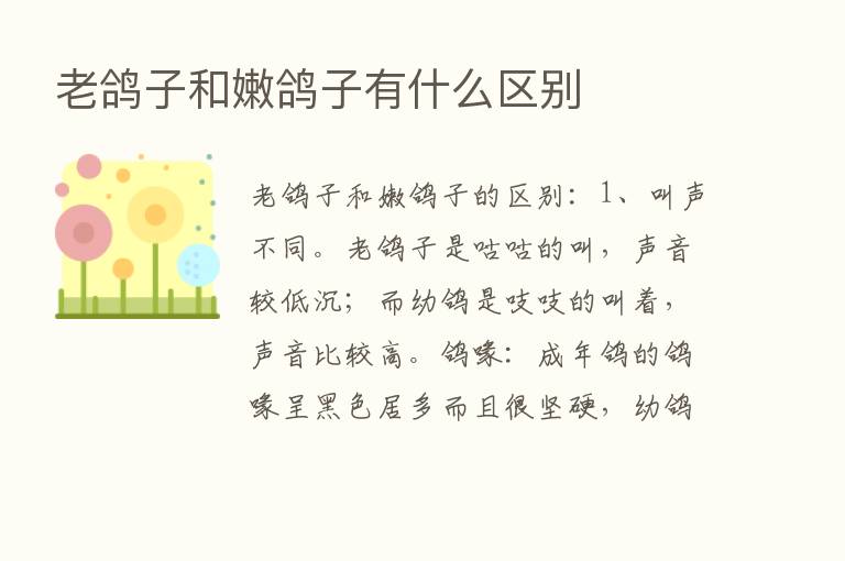 老鸽子和嫩鸽子有什么区别