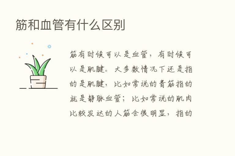 筋和血管有什么区别