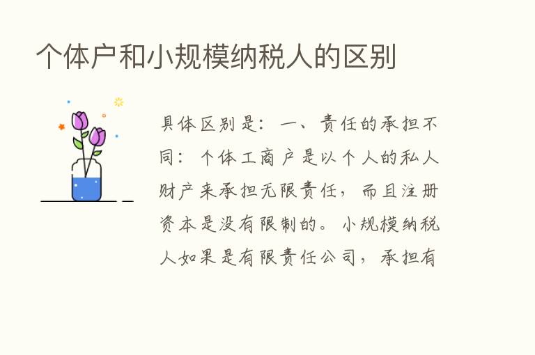 个体户和小规模纳税人的区别