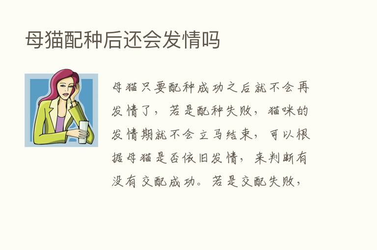 母猫配种后还会发情吗