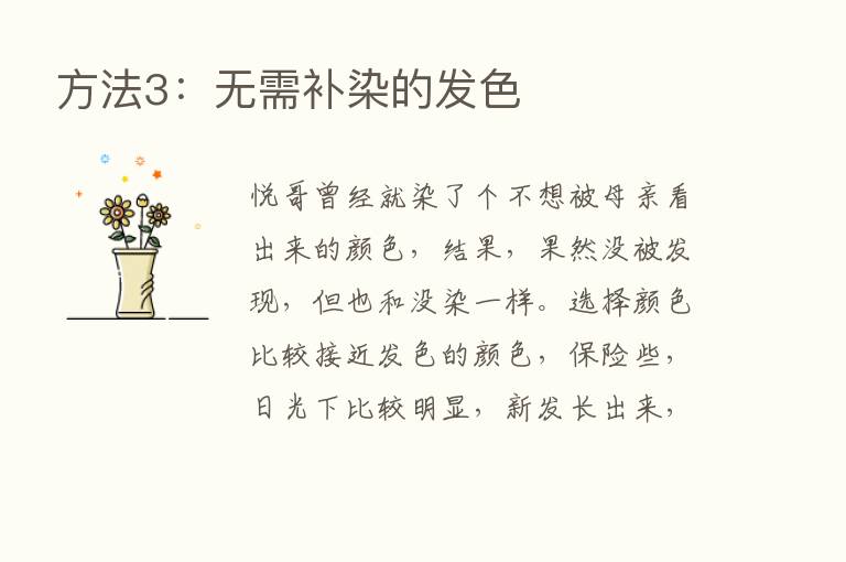 方法3：无需补染的发色