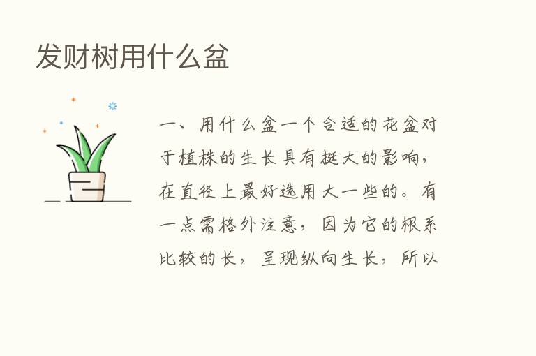 发财树用什么盆