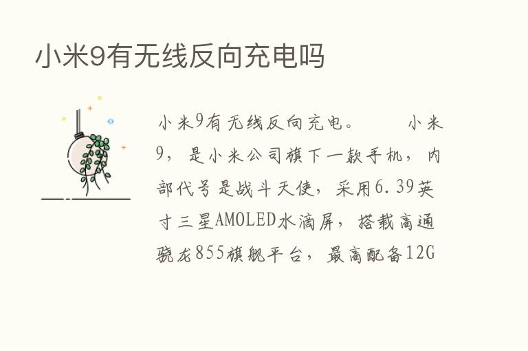 小米9有无线反向充电吗