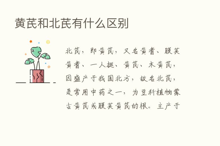 黄芪和北芪有什么区别