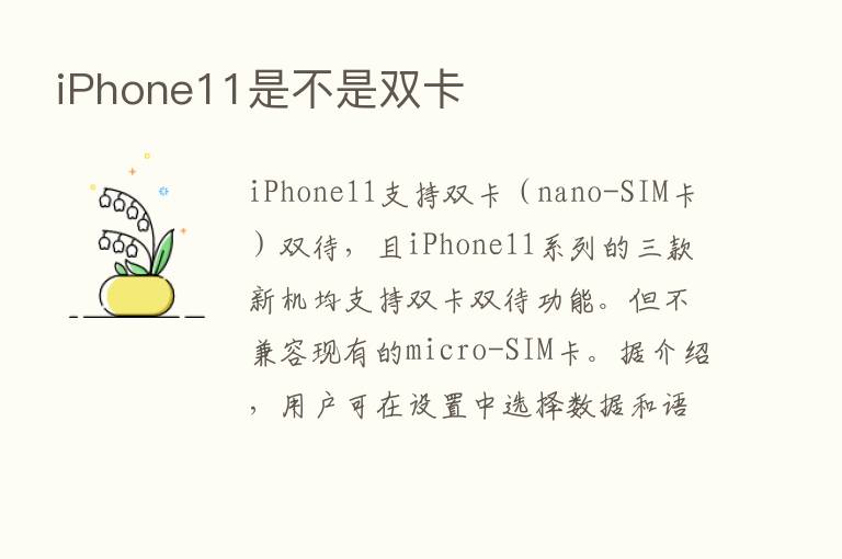 iPhone11是不是双卡