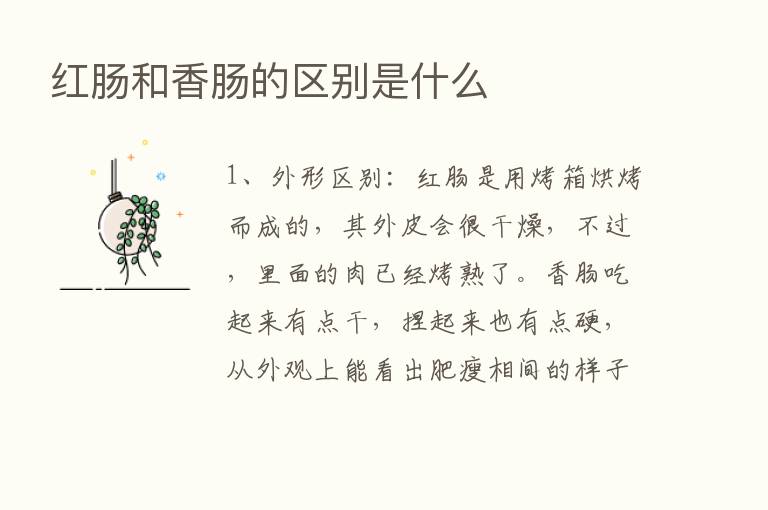 红肠和香肠的区别是什么