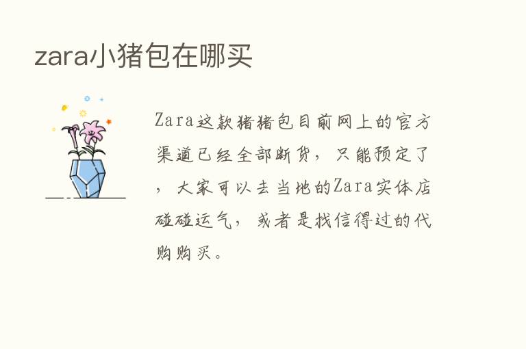 zara小猪包在哪买