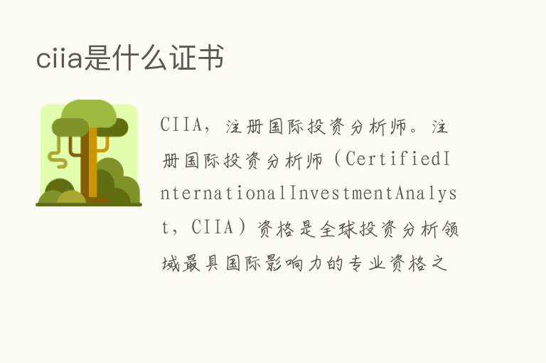 ciia是什么证书