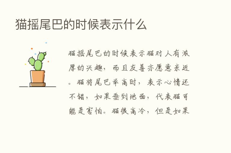 猫摇尾巴的时候表示什么