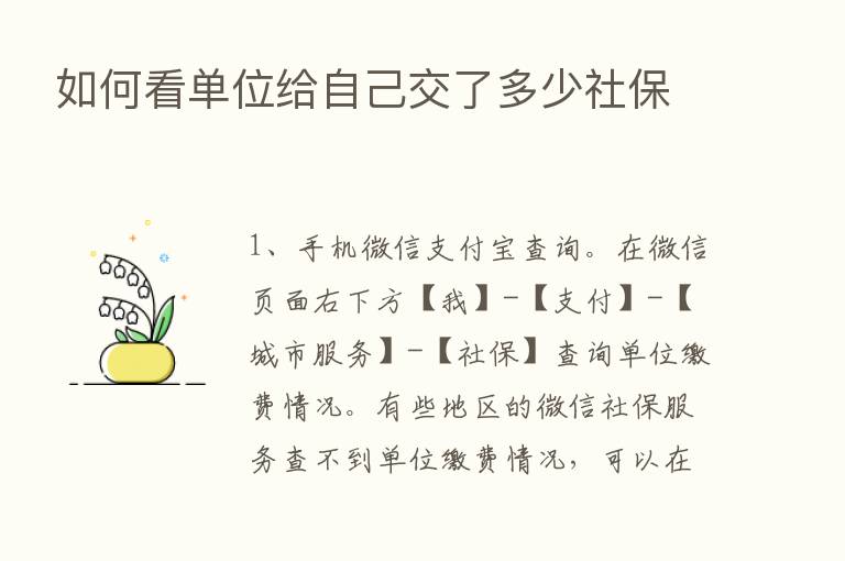 如何看单位给自己交了多少社保